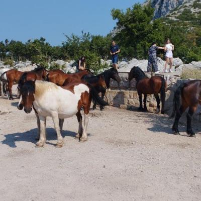 Makarska Riviera Tour Quad rent